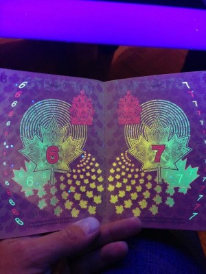 canadian_passport_5.1.jpg