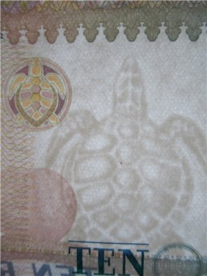 Сейшелы-черепаха.jpg
